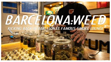 Barcelona weed shops  In fact, it’s not really a fair comparison to attempt, but since so many people insist that one is better than the other, this post is designed to set the record straight in the most even-handed way possible